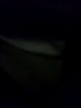 Hema0Hema online show from February 2026 10:33:01 PM