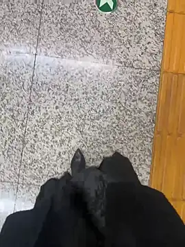 Snapshot of xiaoyuan01 chatting on October 2025 02:45:02 AM xiaoyuan01 online show from October 2025 02:45:02 AM