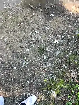 Snapshot of cihan_4141 chatting on October 2025 08:59:01 AM cihan 4141 online show from October 2025 08:59:01 AM