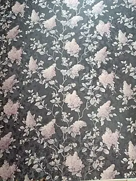 Snapshot of Dari_Toy_ chatting on November 2025 01:38:02 AM Dari Toy online show from November 2025 01:38:02 AM