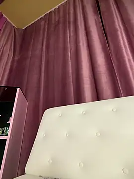 Dari Toy  online show from June 2026 01:20:02 PM