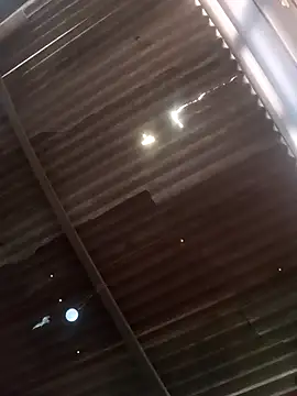 srtsara online show from February 2026 08:42:02 PM