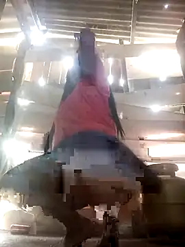 srtsara online show from April 2026 10:46:01 AM