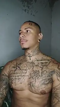 David tatto1 online show from March 2026 03:34:02 AM