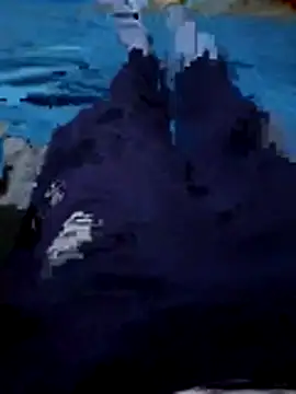 92donis online show from December 2025 07:08:02 PM