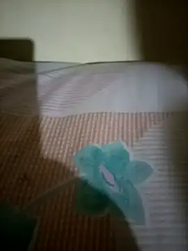 Snapshot of Nishi-2 chatting on September 2025 01:48:02 PM Nishi-2 online show from September 2025 01:48:02 PM