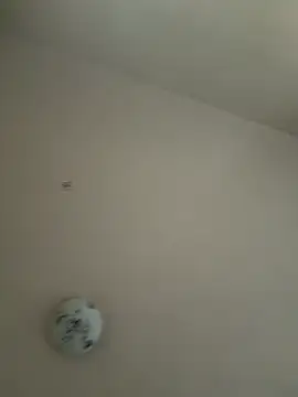 Snapshot of xotflzzz chatting on December 2025 01:05:01 PM xotflzzz online show from December 2025 01:05:01 PM