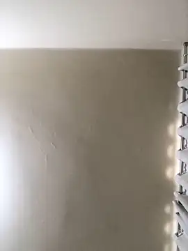 MusaAyla online show from February 2026 05:05:02 PM