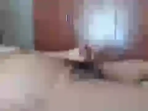 Culazodeantonellarocuzzo online show from February 2026 03:44:02 PM