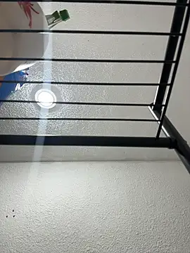 Snapshot of Nia_Desire chatting on December 2025 05:24:02 AM Nia Desire online show from December 2025 05:24:02 AM