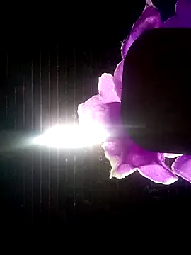 Ridick2025 online show from October 2025 11:13:02 PM