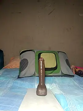 Snapshot of khetyvile chatting on November 2025 12:40:02 PM khetyvile online show from November 2025 12:40:02 PM