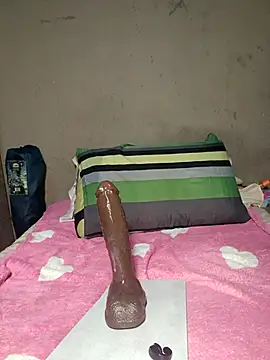 Snapshot of khetyvile chatting on November 2025 07:29:01 AM khetyvile online show from November 2025 07:29:01 AM