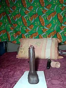 Snapshot of khetyvile chatting on November 2025 08:46:02 AM khetyvile online show from November 2025 08:46:02 AM