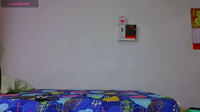 dylan apol0 online show from March 2026 02:16:02 AM