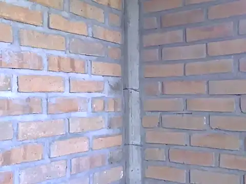 Boycumlatino online show from October 2025 08:53:02 PM