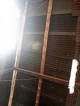 Snapshot of Davir2001 chatting on February 2026 01:44:01 PM Davir2001 online show from February 2026 01:44:01 PM