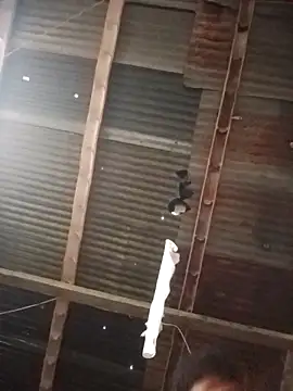 Snapshot of Davir2001 chatting on March 2026 11:56:02 AM Davir2001 online show from March 2026 11:56:02 AM