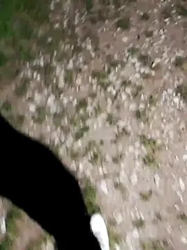 Snapshot of ARTANIS20 chatting on October 2025 08:20:01 PM ARTANIS20 online show from October 2025 08:20:01 PM