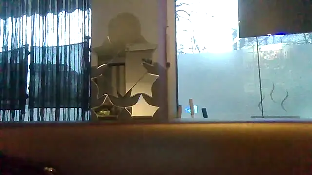 ARTANIS20 online show from February 2026 06:56:02 AM