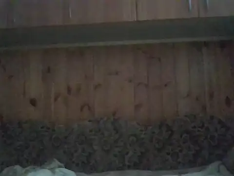 Snapshot of Maksymilian1 chatting on November 2025 08:36:02 AM Maksymilian1 online show from November 2025 08:36:02 AM