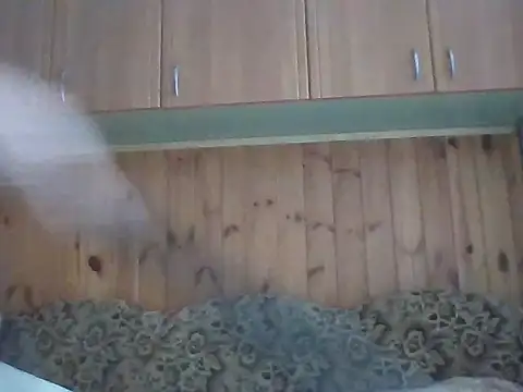 Snapshot of Maksymilian1 chatting on February 2026 09:41:01 AM Maksymilian1 online show from February 2026 09:41:01 AM