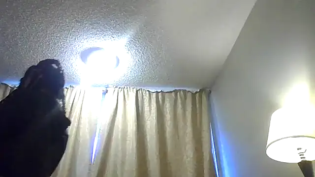 Flossee online show from February 2026 05:42:01 PM