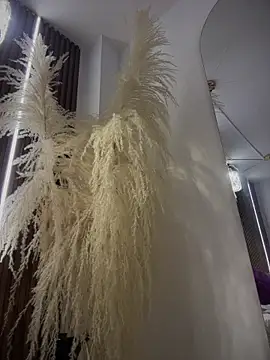 Snapshot of Anita-vega chatting on December 2025 09:11:02 PM Anita-vega online show from December 2025 09:11:02 PM