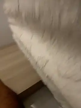 DoctorArabe3 online show from February 2026 11:05:02 AM