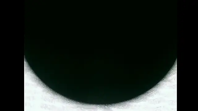 santinini2 online show from April 2026 07:51:02 PM