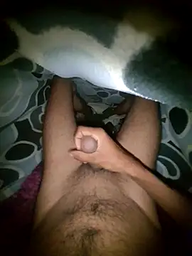 Desi Horny Boys online show from February 2026 11:27:02 PM