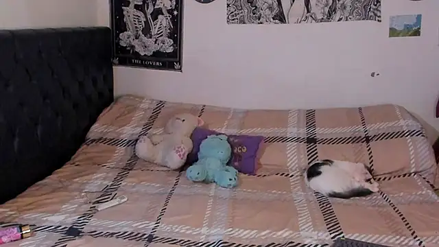 chloe kisses online show from September 2025 11:47:02 AM