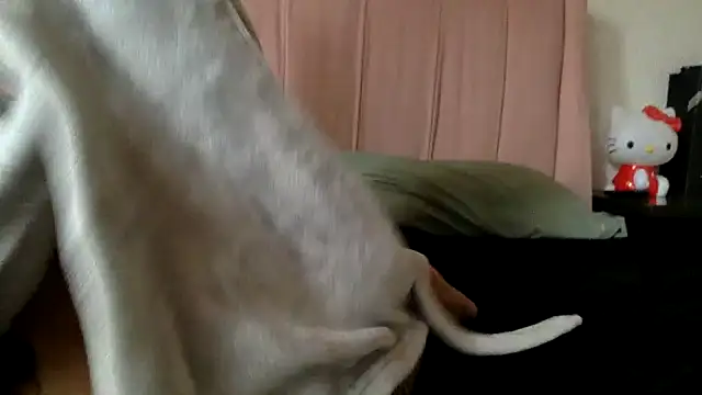 Snapshot of Akanett_cxtt chatting on October 2025 08:51:02 PM Akanett cxtt online show from October 2025 08:51:02 PM