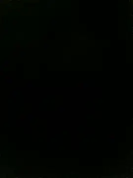 Dirtyd20251 online show from March 2026 02:32:02 PM