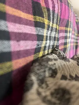 Snapshot of zack6x chatting on September 2025 04:03:01 AM zack6x online show from September 2025 04:03:01 AM