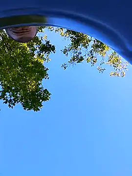 helldonk online show from September 2025 02:08:01 PM