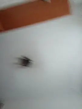 Hottiesophie online show from March 2026 04:13:01 PM