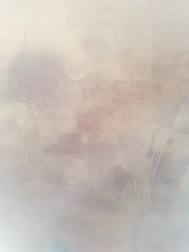 0023doja online show from October 2025 11:26:02 PM