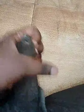 Snapshot of Saikishore00000 chatting on September 2025 08:25:01 AM Saikishore00000 online show from September 2025 08:25:01 AM