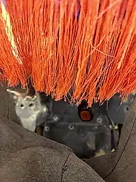 Telugu person12 online show from January 2026 07:57:02 AM