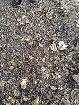 Telugu person12 online show from January 2026 07:58:02 AM