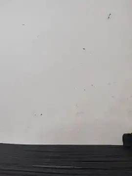 Telugu person12 online show from February 2026 05:08:01 AM