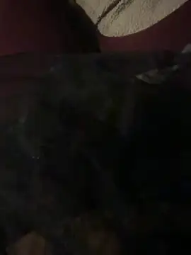 Snapshot of nenad062 chatting on December 2025 07:03:01 AM nenad062 online show from December 2025 07:03:01 AM