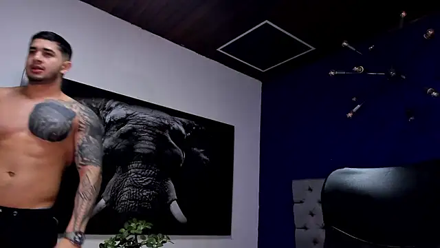 king falconer online show from December 2025 02:18:01 AM