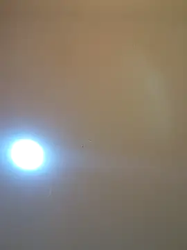 Oriana111 online show from March 2026 12:00:02 PM