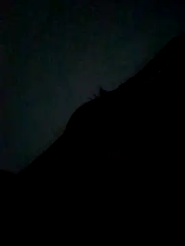 Snapshot of CatchingBouquet chatting on September 2025 07:37:01 PM CatchingBouquet online show from September 2025 07:37:01 PM