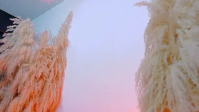 JulietaDavis online show from February 2026 08:10:02 AM