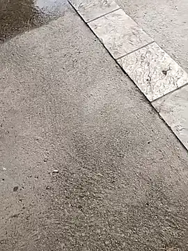 jvdzj-0  online show from October 2025 03:34:01 PM