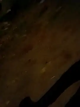 jvdzj-0  online show from October 2025 09:50:01 PM