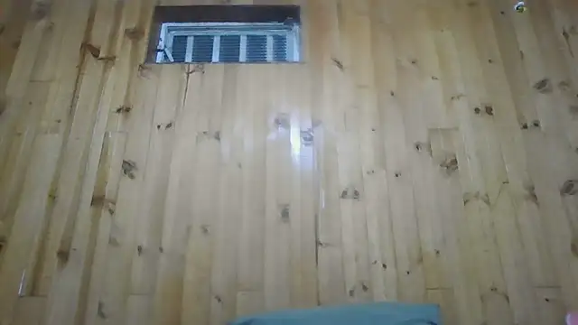 Roselingalvis13 online show from December 2025 03:03:01 AM